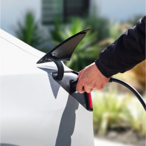 Tesla Model 3 - Ảnh 10