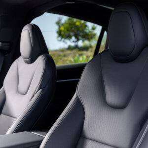 Tesla Model X - Ảnh 9